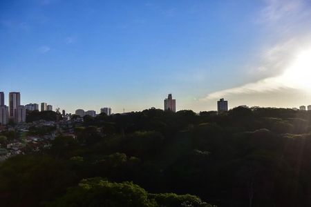 Apartamento à venda com 145m², 3 quartos e 2 vagasVista do Quarto 2