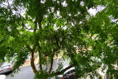 Apartamento à venda com 155m², 4 quartos e 2 vagasVista da suíte 1