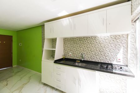 Cozinha de apartamento para alugar com 1 quarto, 28m² em Igará, Canoas