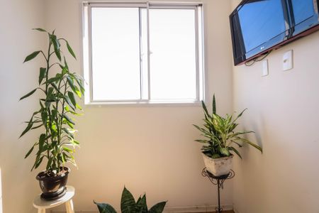 Apartamento para alugar com 38m², 2 quartos e sem vagaQuarto 2