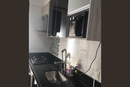Foto 10 de apartamento à venda com 2 quartos, 55m² em Vila Mimosa, Campinas