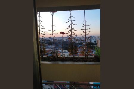 Foto 06 de apartamento à venda com 2 quartos, 70m² em Ponte Preta, Campinas