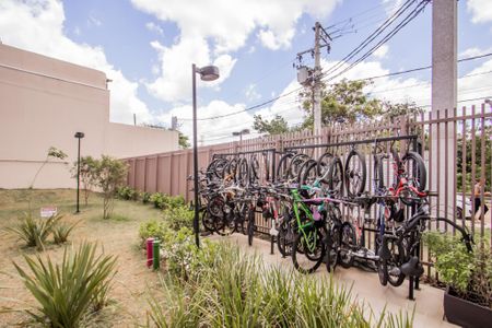 Apartamento para alugar com 40m², 2 quartos e sem vagaBicicletário 