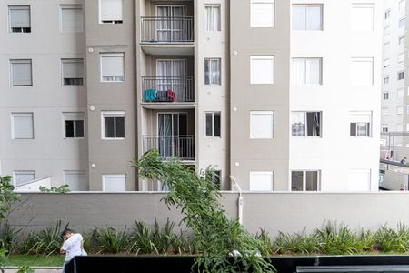 Apartamento para alugar com 35m², 2 quartos e sem vaga Apartamento para alugar com 35m², 2 quartos e sem vagaVIsta Quarto 1