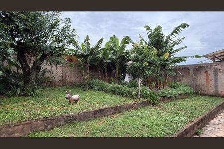 Casa para alugar com 435m², 6 quartos e 4 vagasJardim