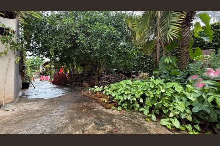 Casa para alugar com 435m², 6 quartos e 4 vagasJardim