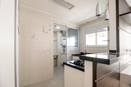 Apartamento para alugar com 66m², 2 quartos e 1 vagaCozinha - Armários