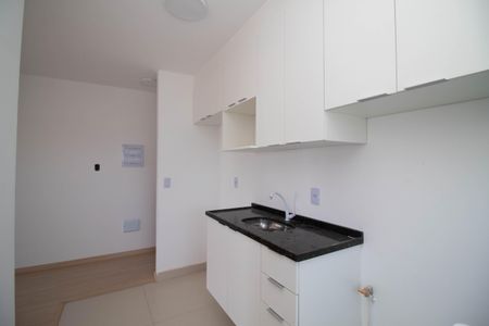 Apartamento para alugar com 43m², 2 quartos e 1 vagaCozinha - Armários
