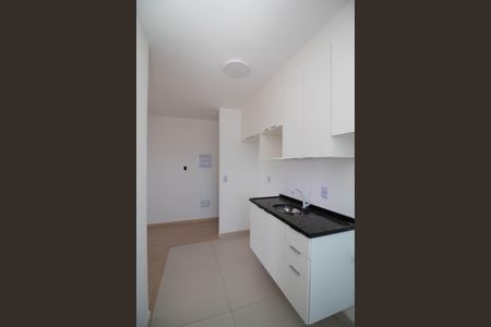 Apartamento para alugar com 43m², 2 quartos e 1 vagaCozinha - Armários