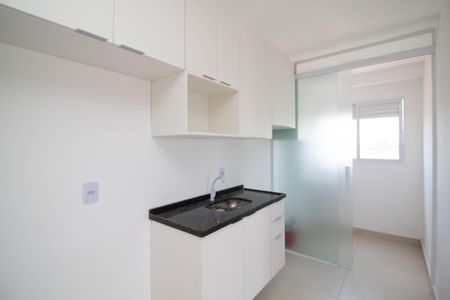 Apartamento para alugar com 43m², 2 quartos e 1 vagaCozinha - Armários