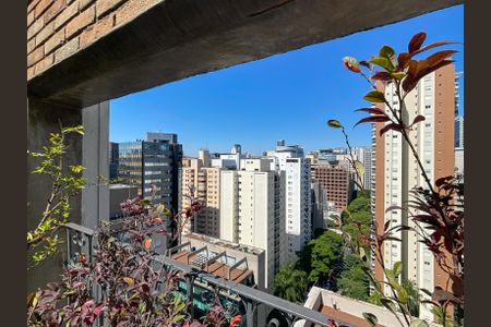 Apartamento à venda com 205m², 3 quartos e 2 vagasQuintal