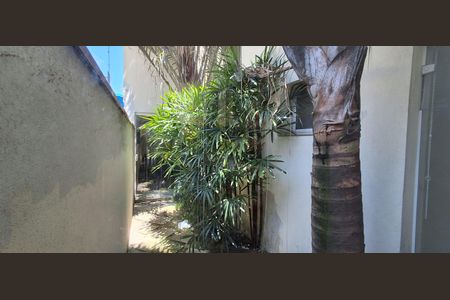 Casa à venda com 400m², 3 quartos e 4 vagasQuintal