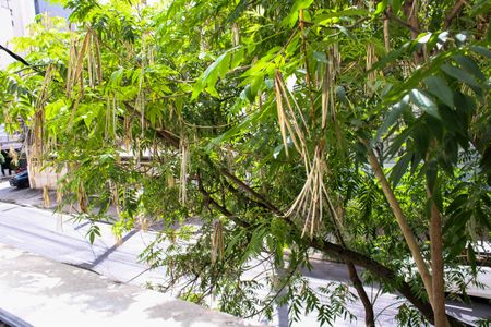 Vista do Studio de kitnet/studio para alugar com 1 quarto, 40m² em Santa Cecilia, São Paulo