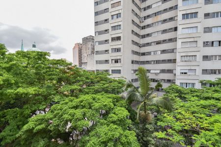 Vista da sala de apartamento à venda com 3 quartos, 101m² em Centro Histórico de São Paulo, São Paulo
