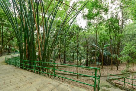 Apartamento para alugar com 280m², 4 quartos e 3 vagasÁrea comum