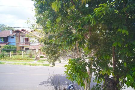 Vista do Quarto  de apartamento para alugar com 1 quarto, 42m² em Vila Nova, Novo Hamburgo