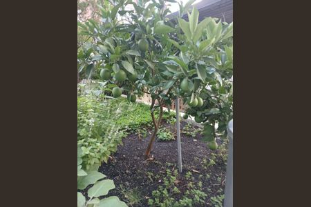 Apartamento à venda com 87m², 2 quartos e 1 vaga Apartamento à venda com 87m², 2 quartos e 1 vagaÁrea comum