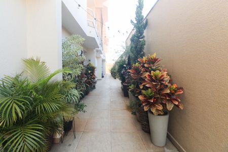 Casa de condomínio à venda com 72m², 2 quartos e 1 vaga Casa de condomínio à venda com 72m², 2 quartos e 1 vagaCondomíno