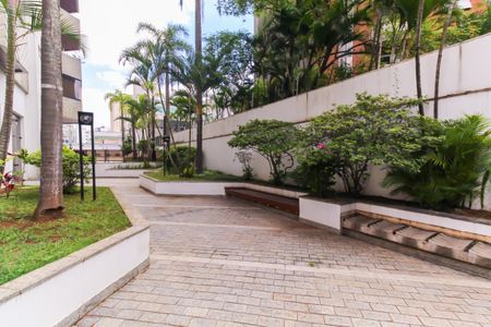 Apartamento para alugar com 206m², 3 quartos e 3 vagasÁrea externa