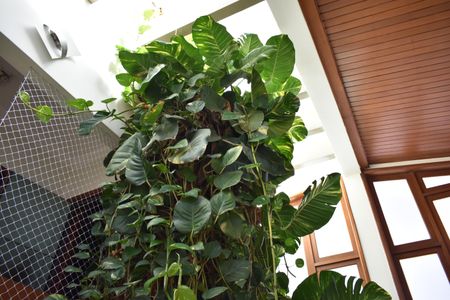 Casa à venda com 308m², 4 quartos e 4 vagasHall