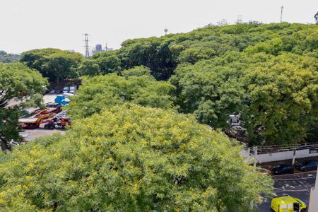 Apartamento à venda com 65m², 3 quartos e 1 vagaVista da Sacada