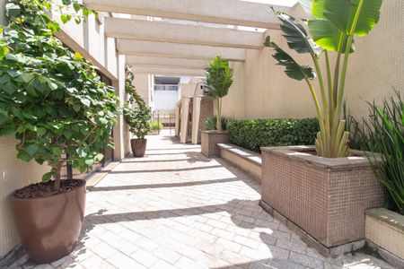 Apartamento para alugar com 110m², 3 quartos e 2 vagas Apartamento para alugar com 110m², 3 quartos e 2 vagasÁrea comum