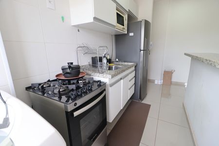 Cozinha de apartamento para alugar com 2 quartos, 58m² em Subsetor Leste - 2 (l-2), Ribeirão Preto