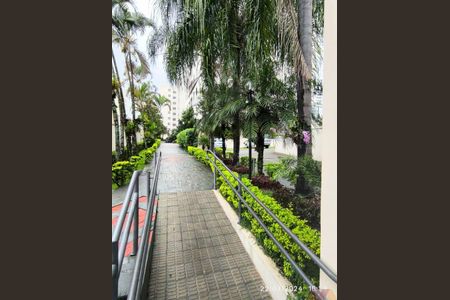 Apartamento à venda com 3 quartos, 64m² em Lauzane Paulista, São Paulo