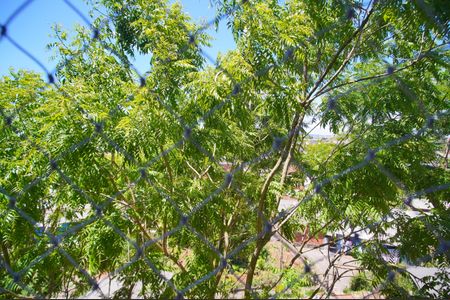 Vista do Quarto 1 de apartamento para alugar com 2 quartos, 57m² em Centro, Novo Hamburgo