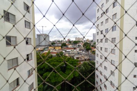 Vista Quarto 1 de apartamento à venda com 3 quartos, 75m² em Vila Sao Paulo, São Paulo