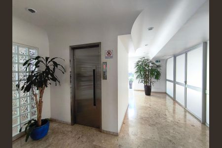 Apartamento para alugar com 83m², 2 quartos e 1 vagaElevadores