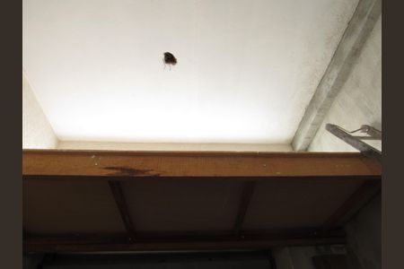 Casa para alugar com 125m², 3 quartos e 1 vagaGaragem