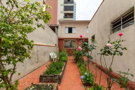Casa à venda com 297m², 2 quartos e 1 vagaQuintal