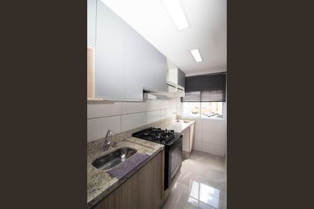 Apartamento para alugar com 42m², 2 quartos e sem vaga Apartamento para alugar com 42m², 2 quartos e sem vagaCozinha - Armários