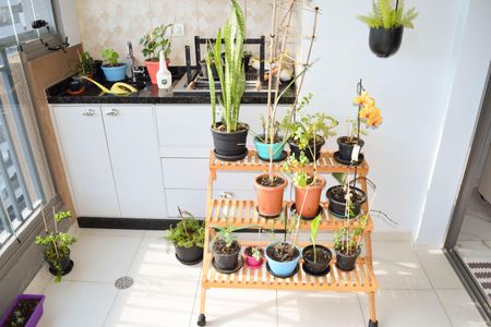 Apartamento à venda com 81m², 3 quartos e 1 vagaVaranda gourmet