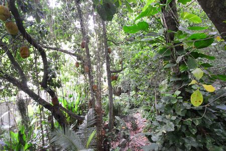 Casa de condomínio à venda com 200m², 3 quartos e 4 vagasQuintal