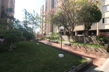 Apartamento para alugar com 50m², 2 quartos e 1 vagaÁrea Comum