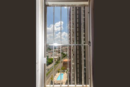 Apartamento para alugar com 75m², 3 quartos e 1 vaga Apartamento para alugar com 75m², 3 quartos e 1 vagaSuíte - Janela