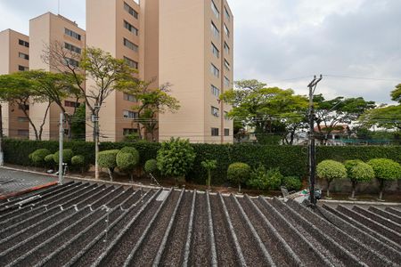 Casa para alugar com 175m², 4 quartos e 2 vagasVista da suíte