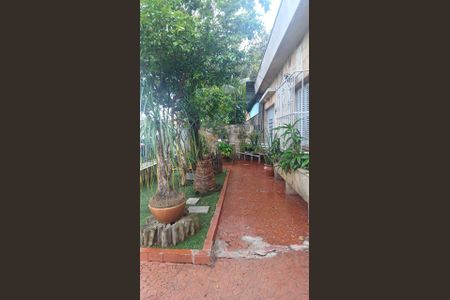 Casa à venda com 3 quartos, 250m² em Instituto de Previdencia, São Paulo