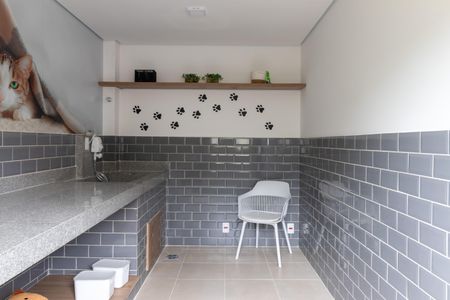 Apartamento para alugar com 37m², 2 quartos e sem vaga Apartamento para alugar com 37m², 2 quartos e sem vagaÁrea comum - Pet Care