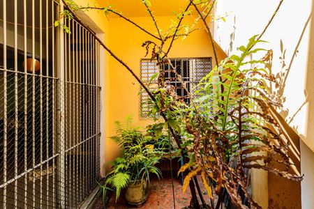 Casa à venda com 100m², 3 quartos e 3 vagasJardim