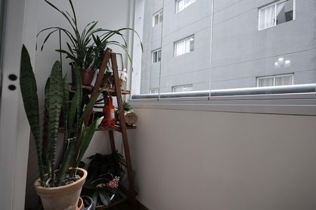 Apartamento à venda com 96m², 3 quartos e 2 vagasSacada