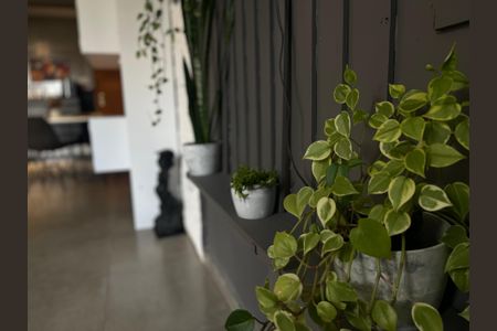 Studio para alugar com 32m², 1 quarto e sem vaga Studio para alugar com 32m², 1 quarto e sem vagaStudio