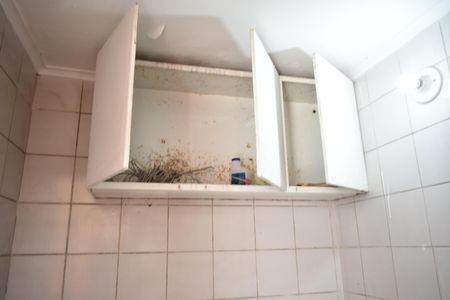 Casa para alugar com 250m², 3 quartos e 1 vagaLavanderia