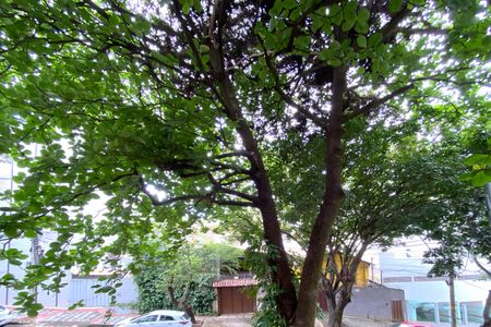 Vista da Sala de apartamento à venda com 5 quartos, 254m² em Anchieta, Belo Horizonte