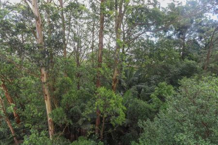 Apartamento à venda com 64m², 3 quartos e 1 vagaVista da varanda 