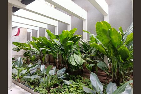 Apartamento para alugar com 206m², 4 quartos e 4 vagas Apartamento para alugar com 206m², 4 quartos e 4 vagasJardim