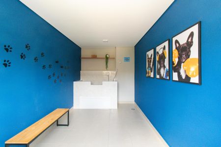 Apartamento para alugar com 33m², 1 quarto e sem vagaEspaço pet