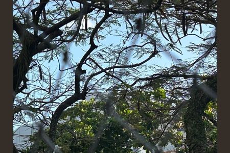 Apartamento à venda com 96m², 3 quartos e 1 vaga